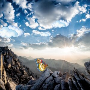 Prozessbegleitung 3er (399,- €): Dein erster Termin